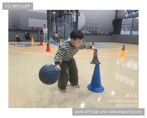 篮球项目在中国家庭教育社会化中的协作机制研究，篮球运动开展的现状调查与研究